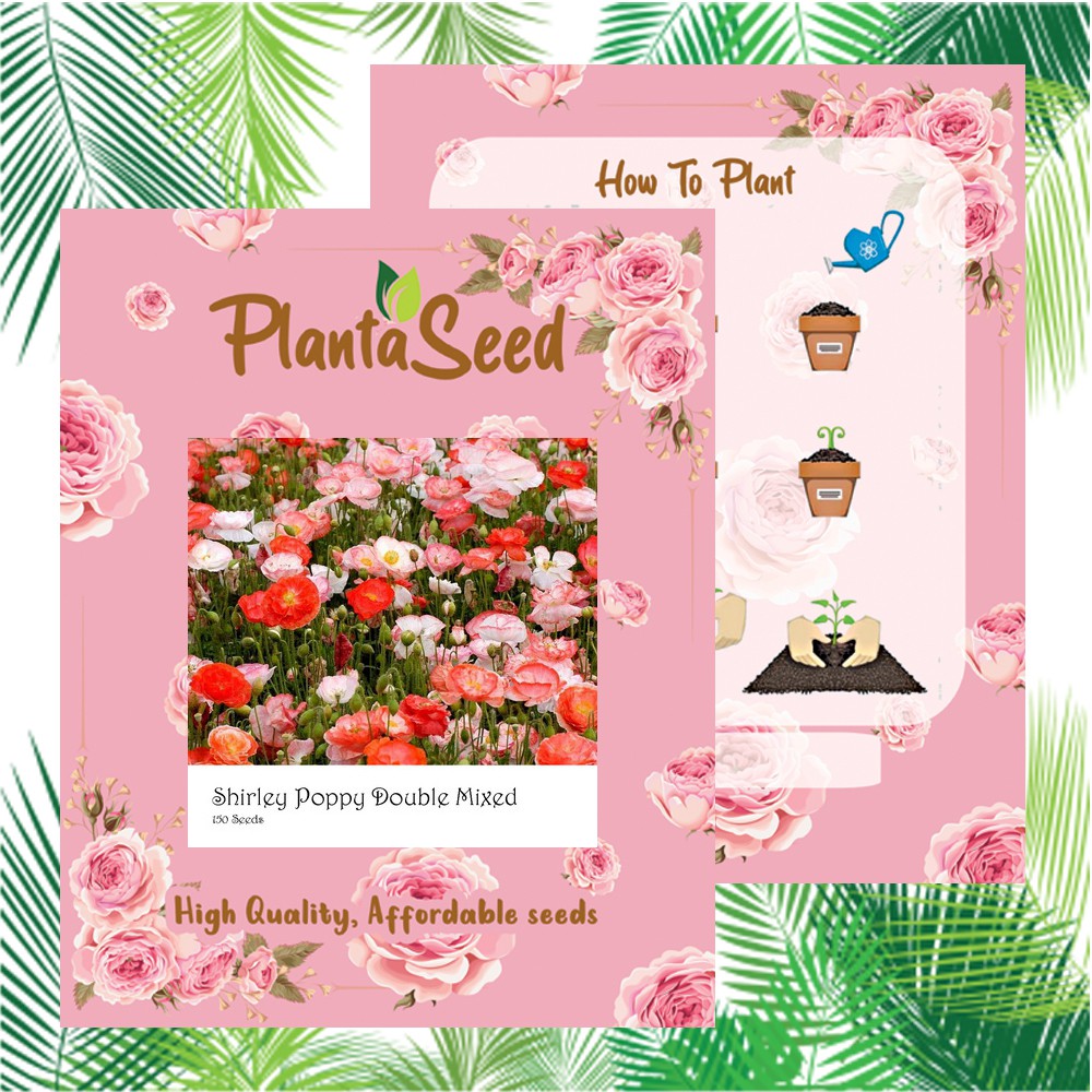 PlantaSeed - 150 Seeds - Shirley Poppy Double Mix Biji Bunga - PAS0209