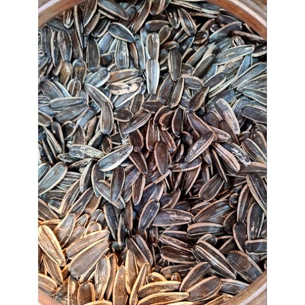 

Cemilan Kwaci Biji Bunga Matahari 250gram