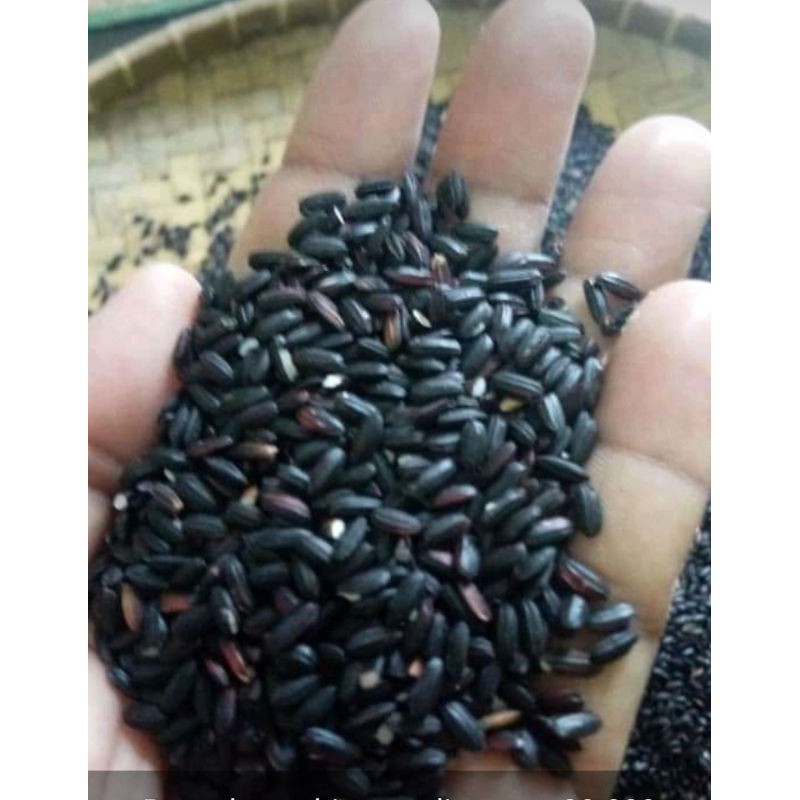 

ketanhitam