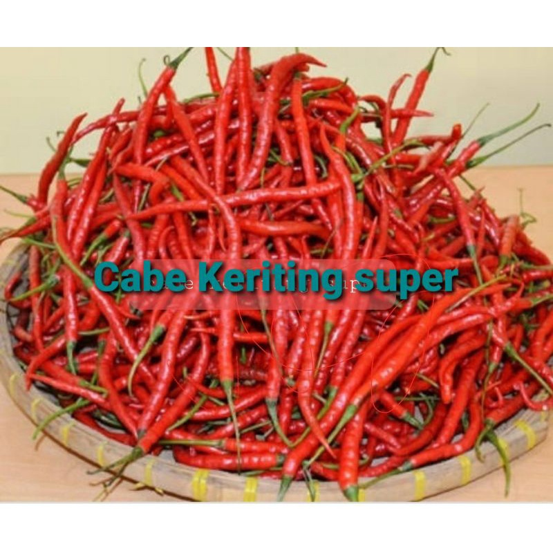 

Cabe Keriting segar/250gr