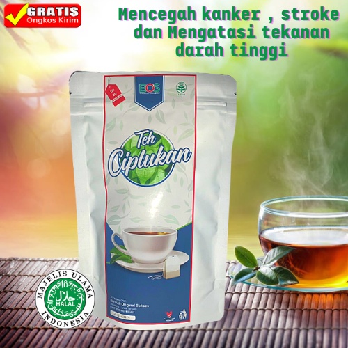 Teh celup herbal CIPLUKAN kaya manfaat Mencegah Kanker Stroke dan Mengatasi Tekananan Darah Tinggi.