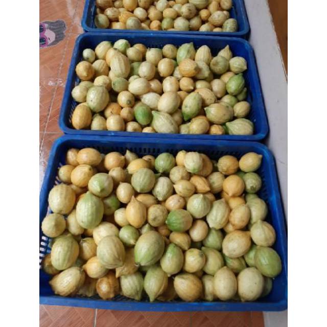 Jeruk lemon lokal 1 kg