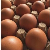 

telur ayam 1 kg