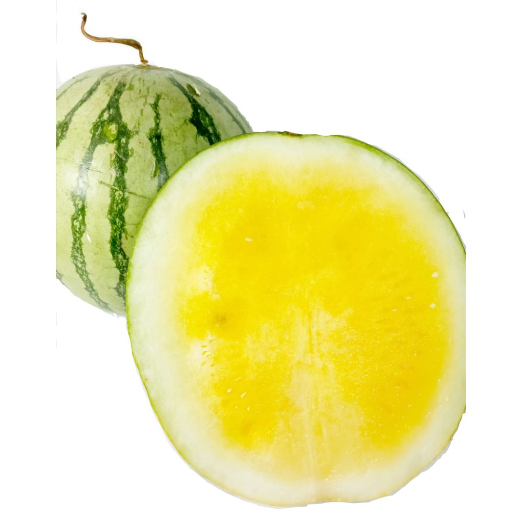 

SEMANGKA KUNING 1 buah +/- 5 Kg (3052)