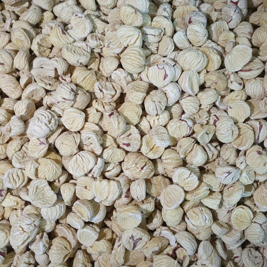 

Kacang Lakci Berangan Kering Super 500Gr / Dried Chestnut Fresh Import