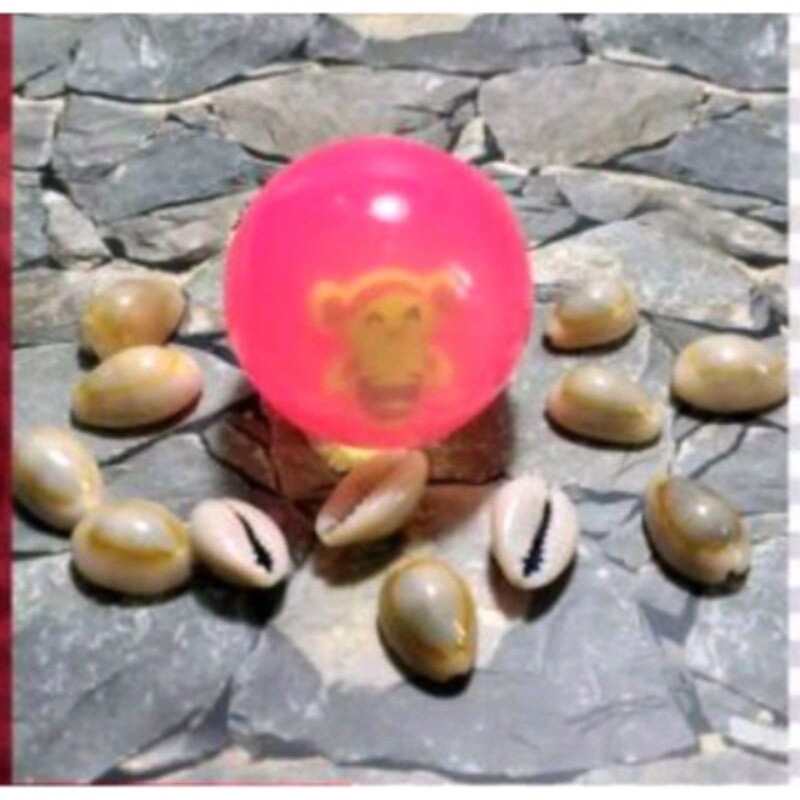 Bola Bekel + 6 pcs Biji kerang kuwuk