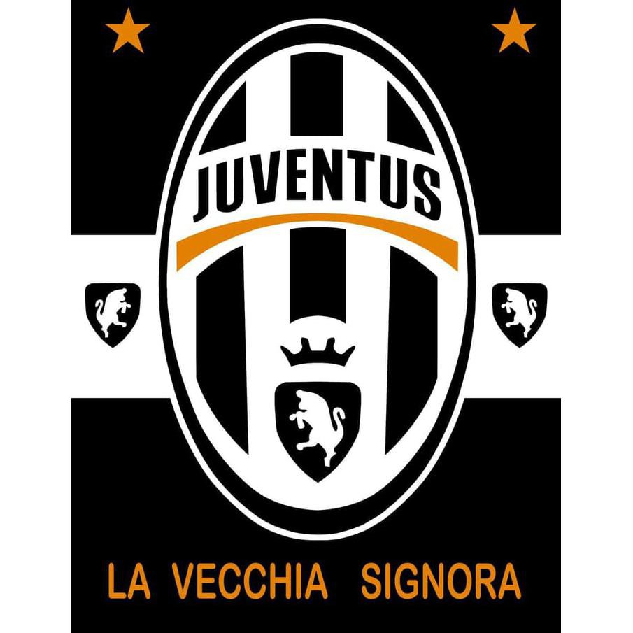 Selimut Panel Internal Karakter Bola Juventus uk. 160 x 200 Ws2005