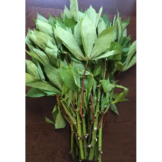 

daun singkong 3k/ikat