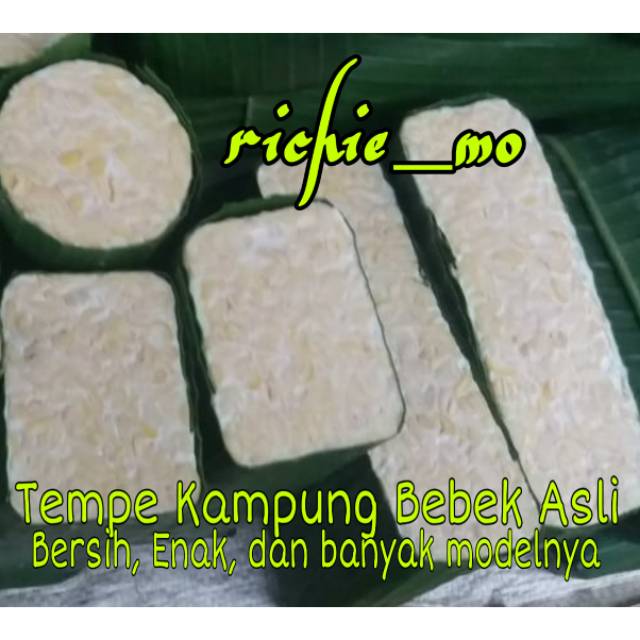 

Tempe Daun Pisang dengan Variasi Model Bulat Guling & Kotak