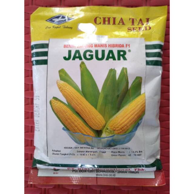 MURAH Benih Jagung Manis Hibrida F1 JAGUAR BISI Cap Kapal Terbang 250 Gram