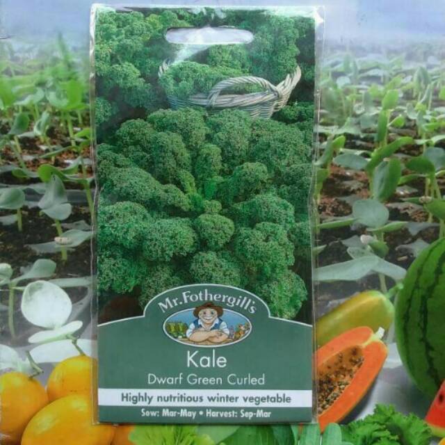 Kale Kribo DWARF GREEN CURLED 400 Biji