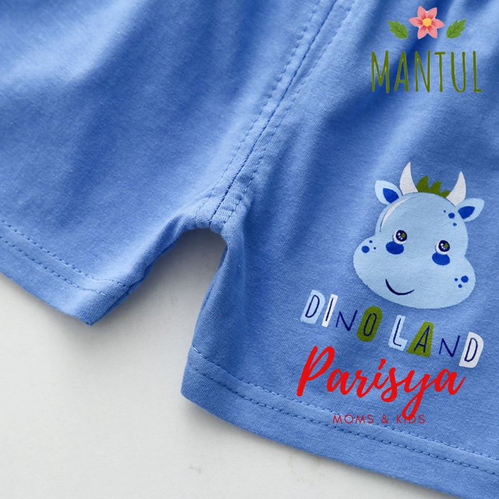 0-18 Bulan Setelan Harian Bayi Mantul / Pakaian Bayi / Jumper Import Anak (Parisya SHI-07LY)-4