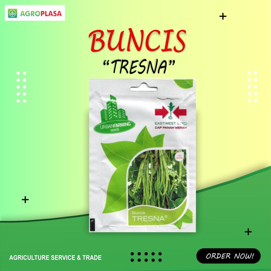Benih Buncis TRESNA - Cap Panah Merah