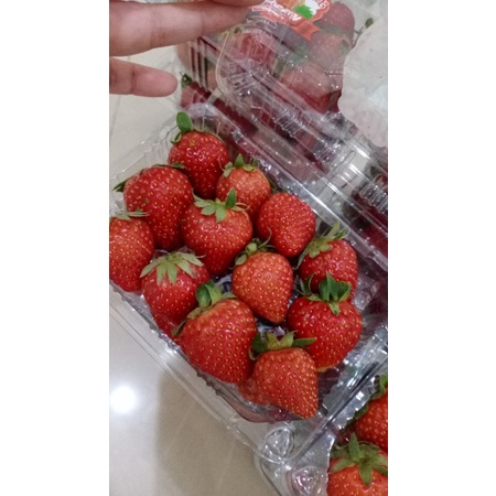 

Strawberry organik Super SellaFarm 280gram