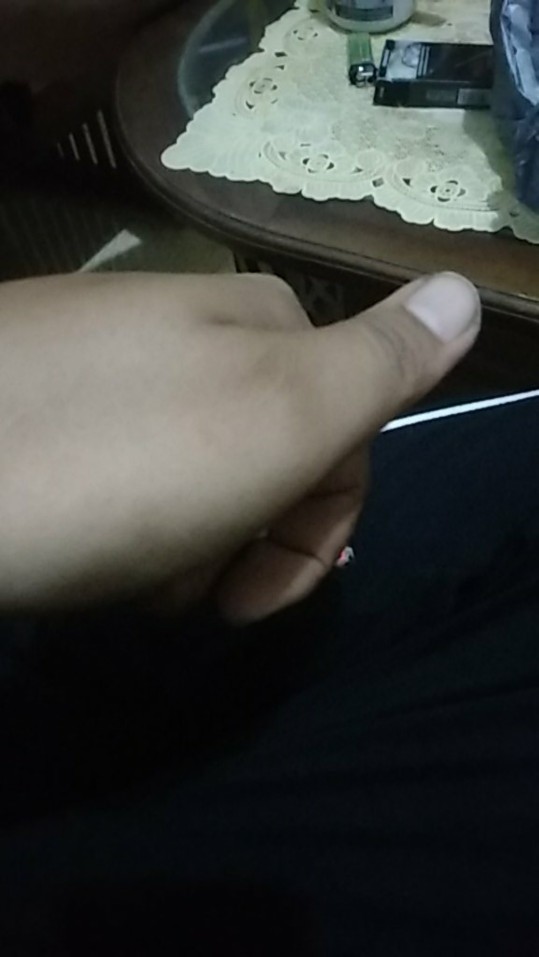 Cendrawasih Blue Kemeja Batik Pria Full Furing Bahan Katun Primisima