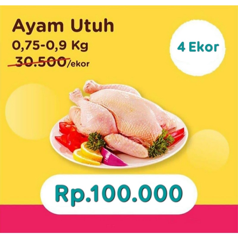 

Ayam frozen
