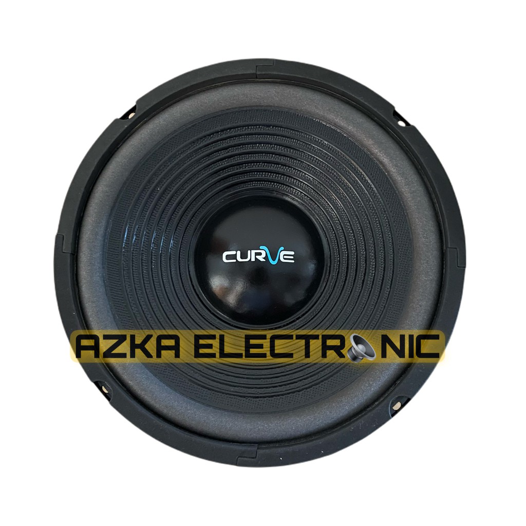 Speaker Curve 10 Inch Woofer 300W