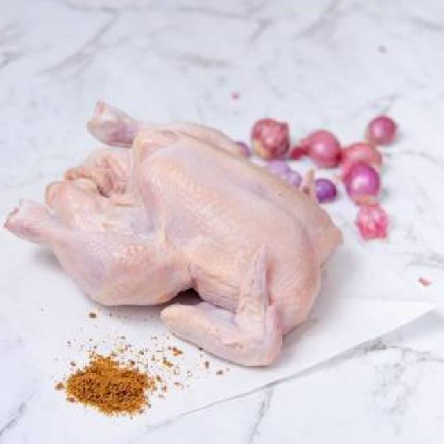 

Ayam broiler karkas berat 900-1kg