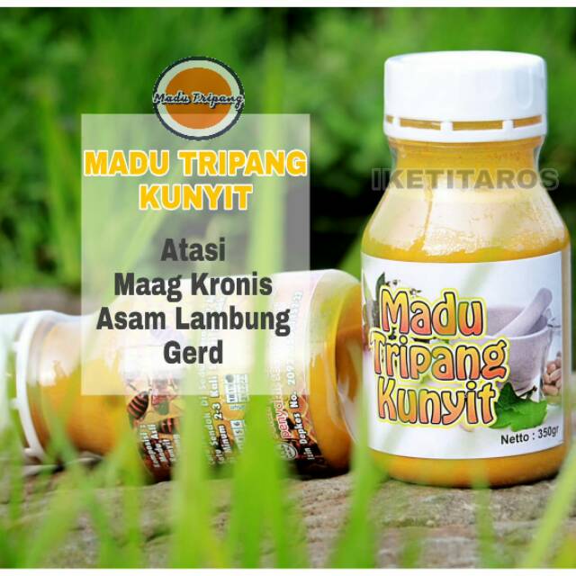 Madu Tripang Kunyit Original Asli Alami Maag Asam Lambung Gerd Madu Tripang Indonesia