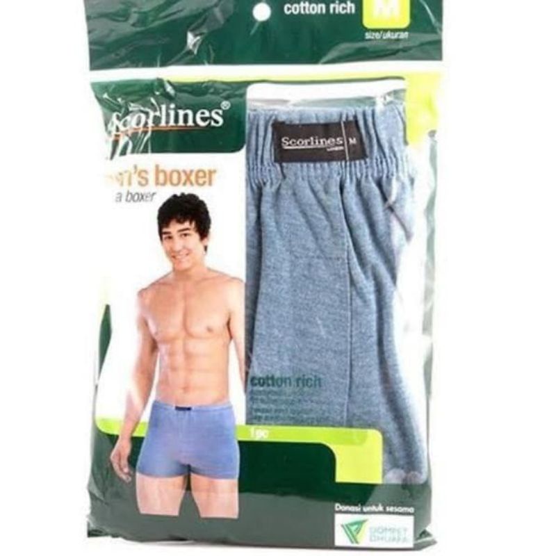 boxer scorlines