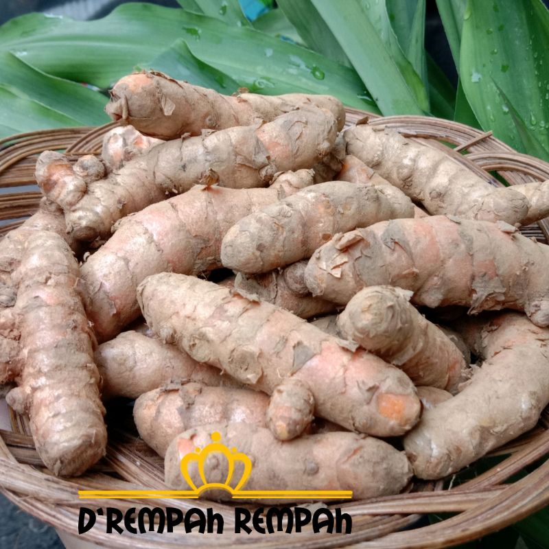 

Kunyit Super 1kg