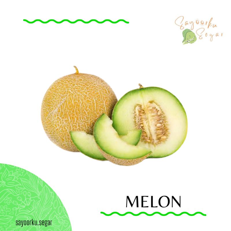 

KIRIM BESOK Buah Melon Honeydew 1 buah