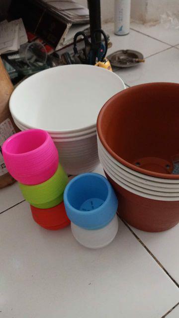 21cm Pot Tawon 21 Budi Jaya