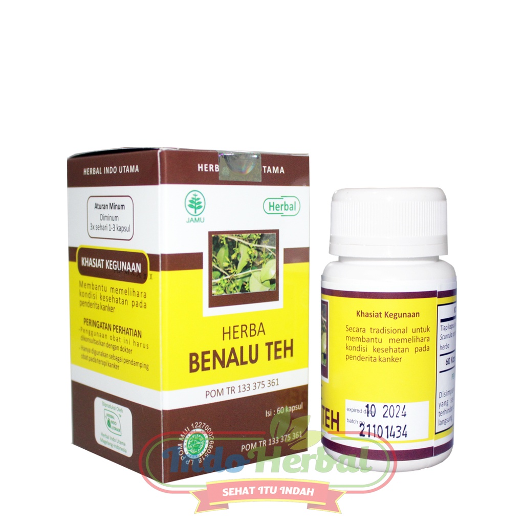 HERBAL TEH HIU BENALU OBAT KANKER | TUMOR ASLI 60 Kapsul