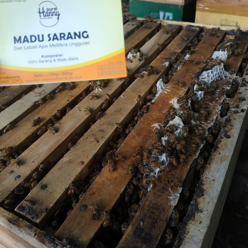 

(kode-597) Madu Sarang 250 gram ORIGINAL Murni asli melifera PREMIUM tdk gatal di tenggorokan FREE S