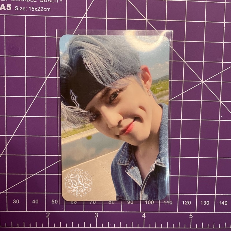 [BOOKED] Bene Synnara Henggerae Scoups