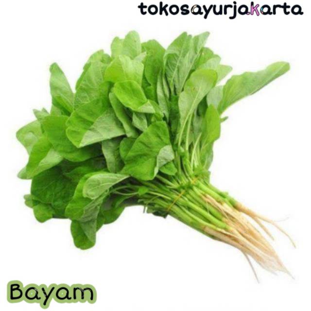 

Bayam Hijau / Bayam Ungu / Kangkung - Per 1 ikat