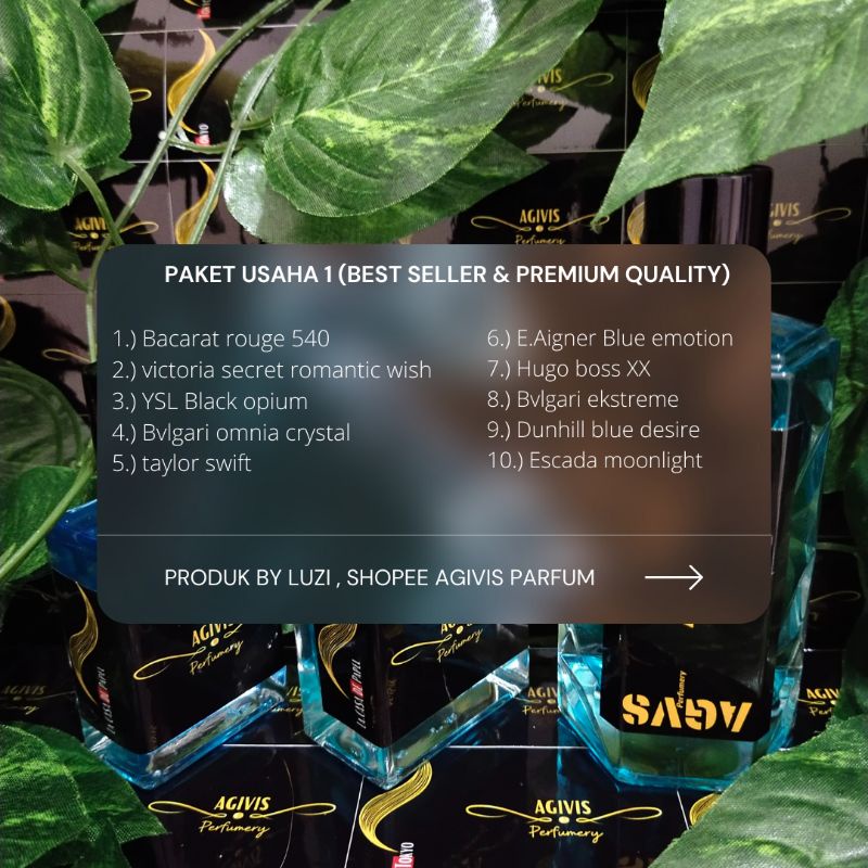 AGIVIS parfum paket usaha 1 ( best seller & premium quality) 10 botol 35ml