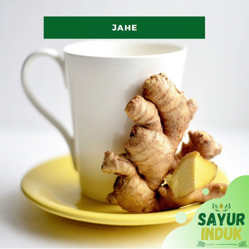 

Sayur Induk - Jahe 250 Gram Fresh Grade A Ginger