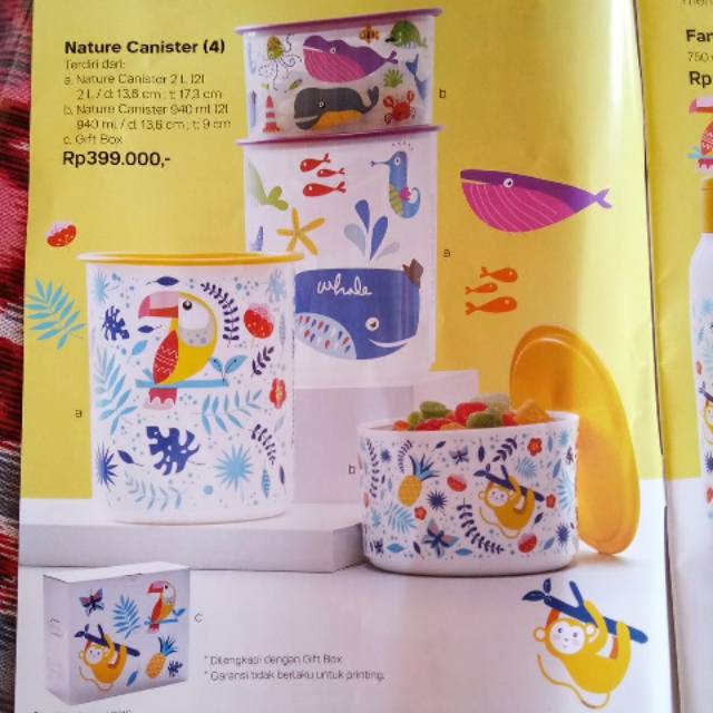 Nature Canister (4) Tupperware