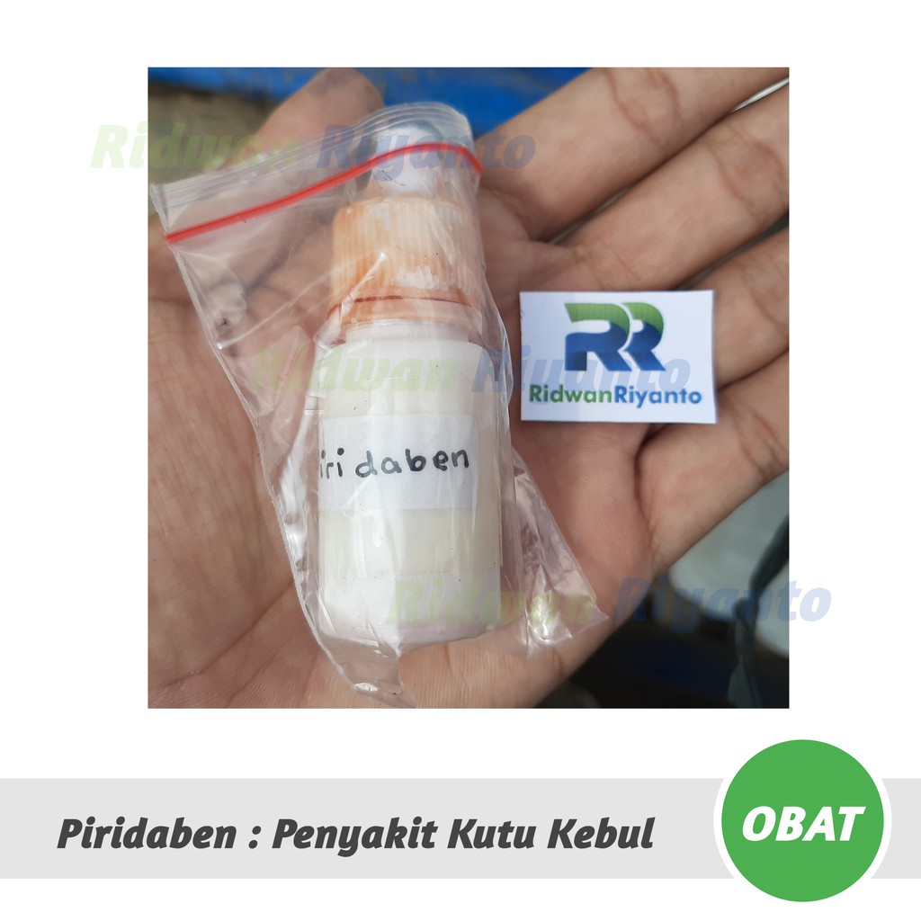 OBAT Cabai PIRIDABEN Untuk Penyakit Kutu Kebul