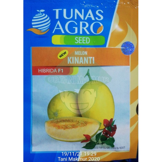 MELON NEW KINANTI TAVI HIBRIDA F1 TUNAS AGRO