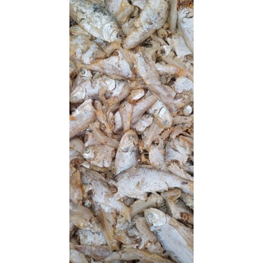 

ikan campur (sampah)