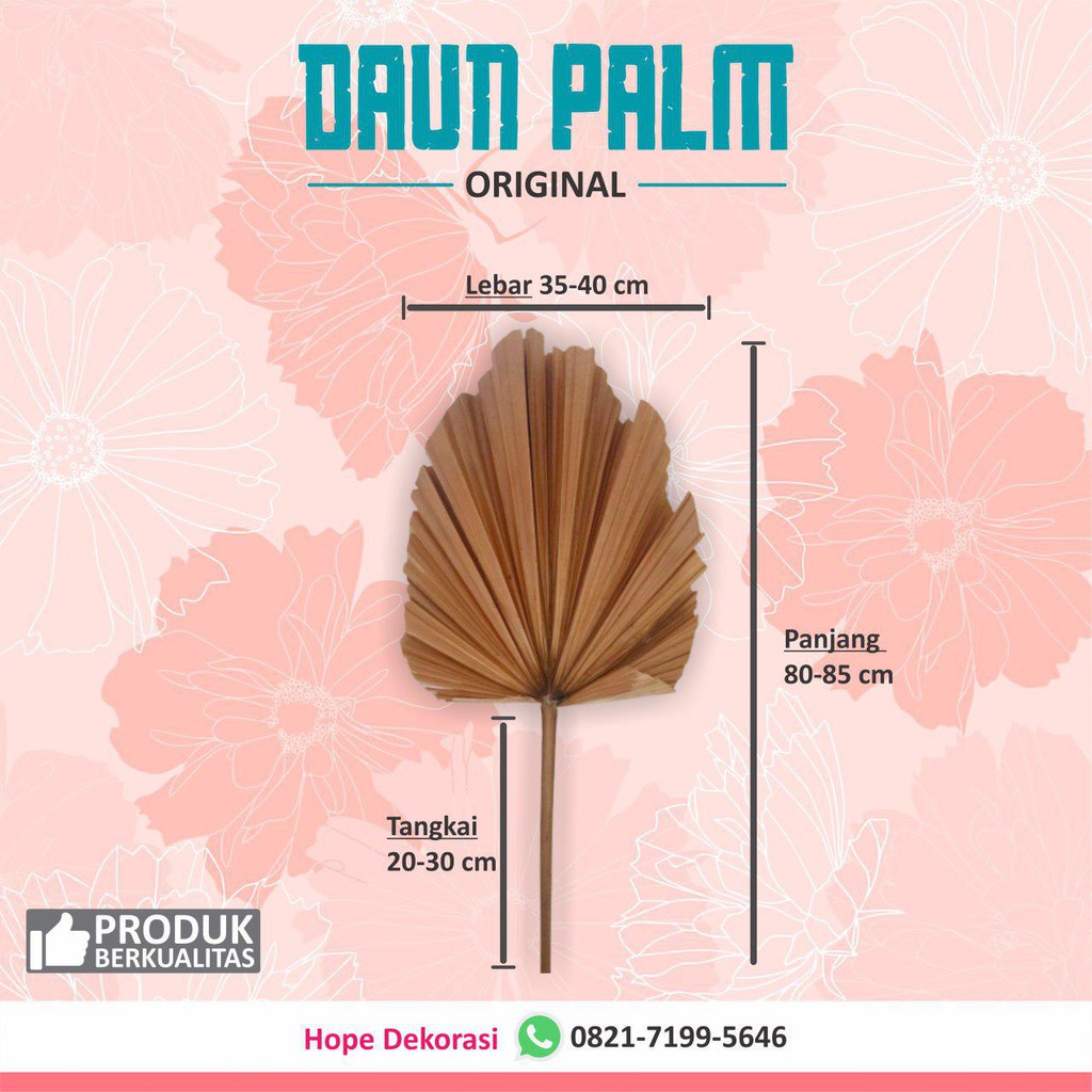  DAUN  PALEM DAUN  PALM KERING  DEKORASI  RUSTIC  Shopee 