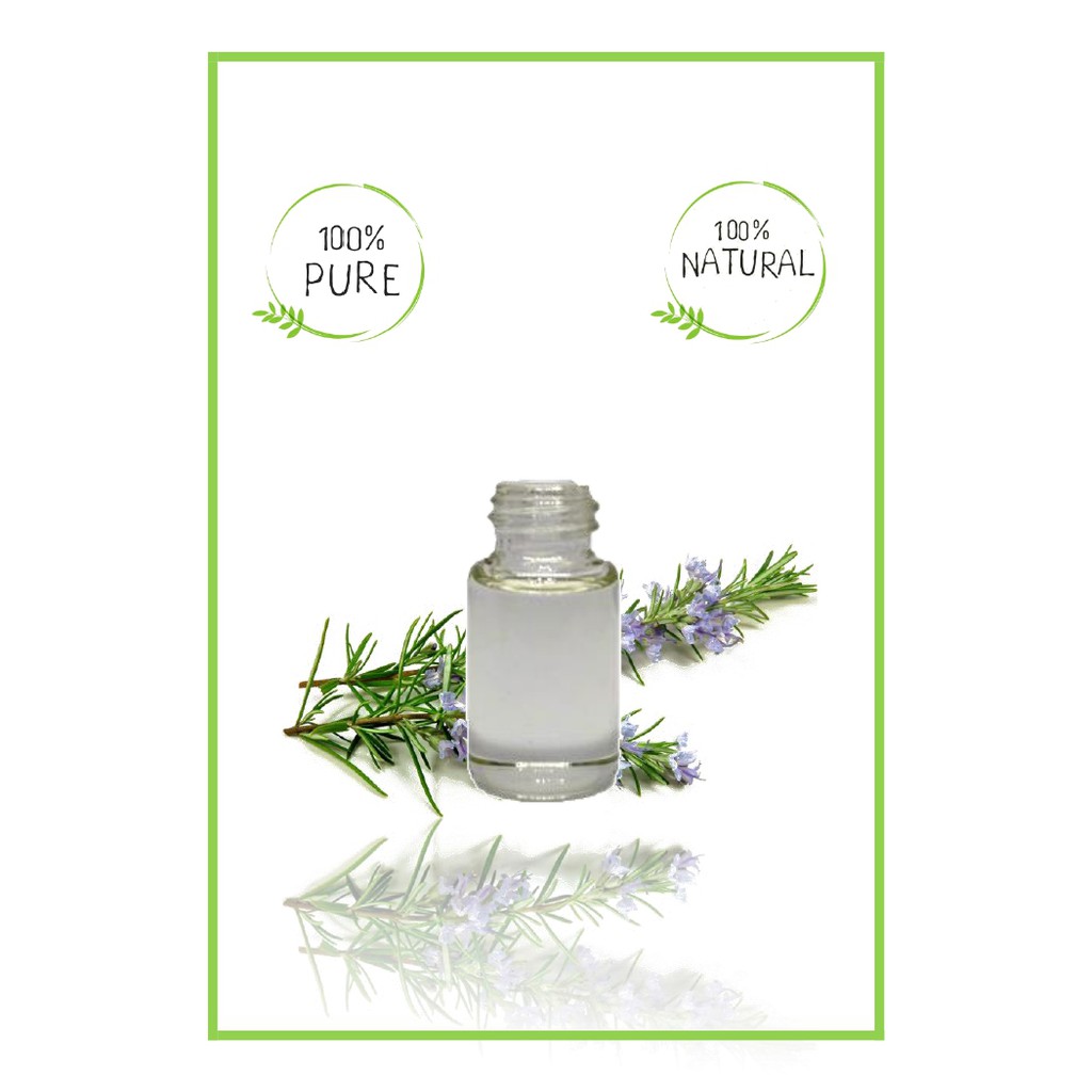 Pure Rosemary Essential Oil / Minyak Esensial Atsiri Rosemary Murni 500ml