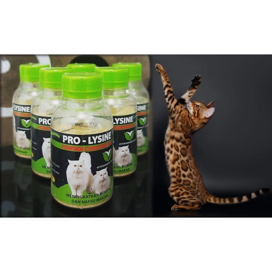 Vitamin Kucing Pro Lysine Murni 50 GR Untuk Imunitas Dan Nafsu Makan