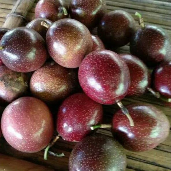 

D Buah Markisa Merah Segar 500 gram ✔➲ 85