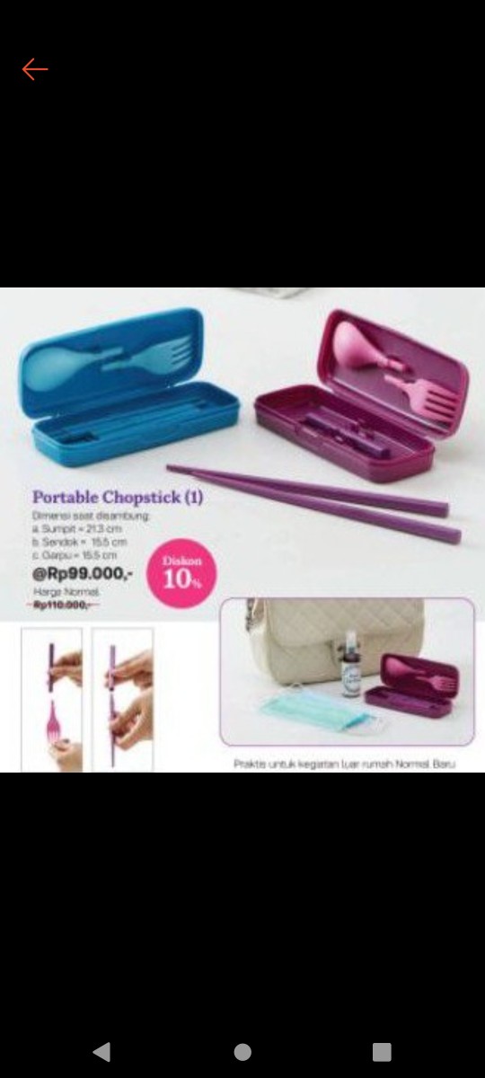 Portable Chopstick (1)