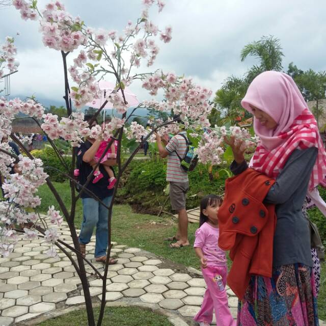 wulan884