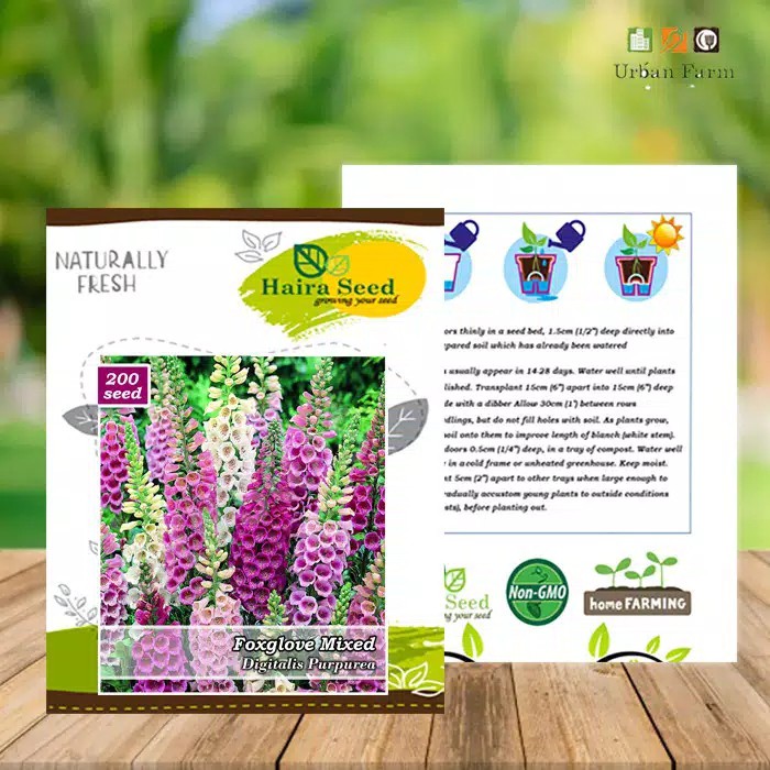 [Best Selling] 40 Seeds - Foxglove Mixed Flower Haira Seed Biji Benih Bunga - SR0098