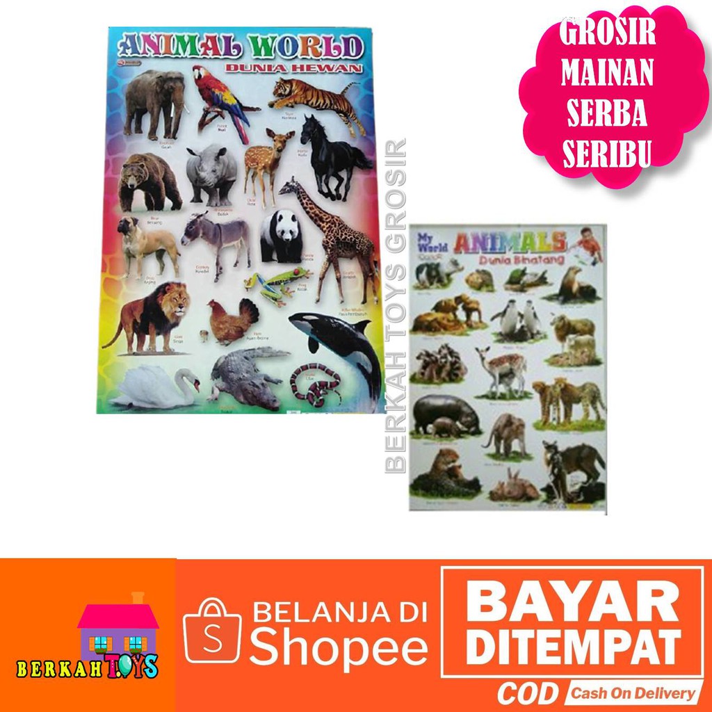 Poster Gambar Edukasi Belajar Anak Mengenal Hewan Binatang Animal Buas Carnivora Herbivora Omnivora 