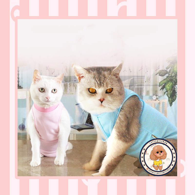 Pet Clothes Pasca Operasi Steril Untuk Kucing