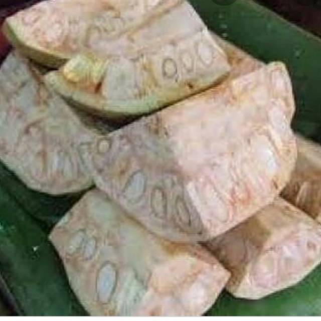 

Nangka muda