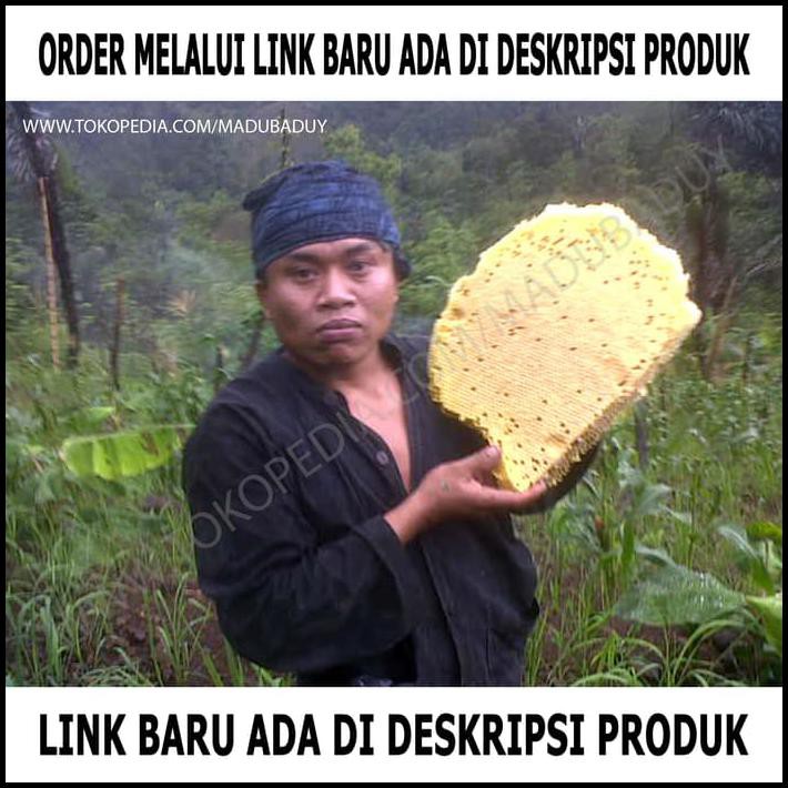

BARU! Madu Asli Lebah Liar Hutan Baduy