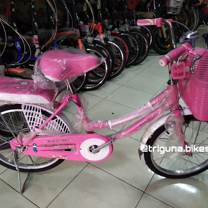 Sepeda Mini Evergreen 20"