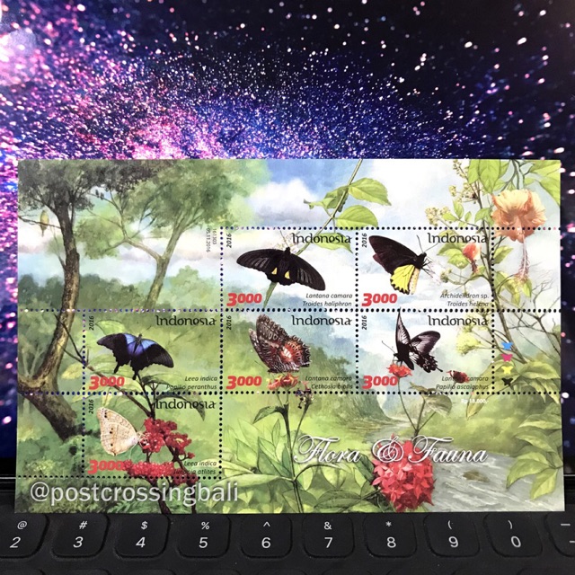 

Prangko Postcard MAXICARD Flora Fauna 2016 Kupu Indonesia Pos Perangko MURAH Filateli Postcrossing